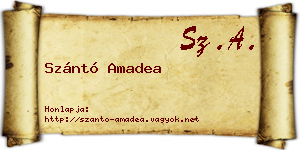 Szántó Amadea névjegykártya